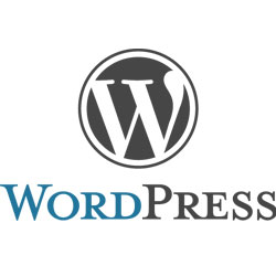 全くの初心者がWordPressでブログを始める方法 全くの初心者がWordPressでブログを始める方法